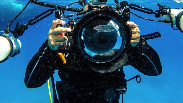 Top 14 Underwater Photography Tips How To Take Underwater Photos 